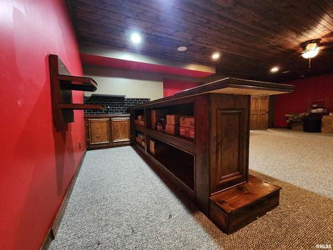 Tiny photo for 253 Ween Road, Desoto, IL 62924 (MLS # EB460556)