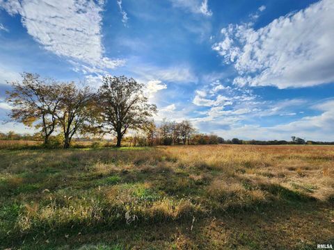 Tiny photo for 253 Ween Road, Desoto, IL 62924 (MLS # EB460556)