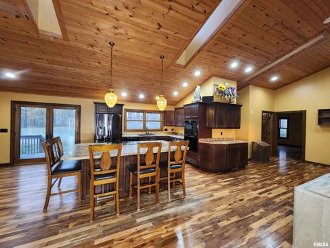 Tiny photo for 253 Ween Road, Desoto, IL 62924 (MLS # EB460556)