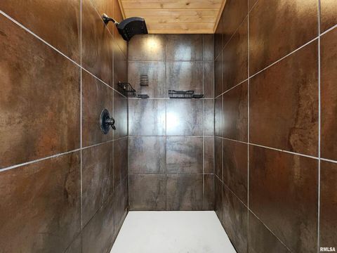 Tiny photo for 253 Ween Road, Desoto, IL 62924 (MLS # EB460556)