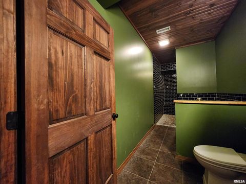 Tiny photo for 253 Ween Road, Desoto, IL 62924 (MLS # EB460556)