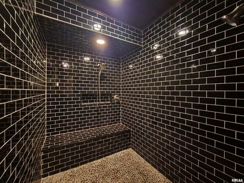 Tiny photo for 253 Ween Road, Desoto, IL 62924 (MLS # EB460556)