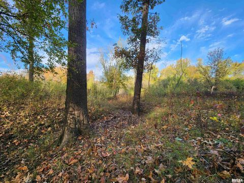 Tiny photo for 253 Ween Road, Desoto, IL 62924 (MLS # EB460556)