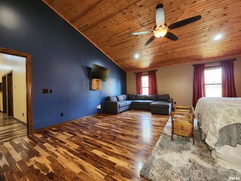 Tiny photo for 253 Ween Road, Desoto, IL 62924 (MLS # EB460556)