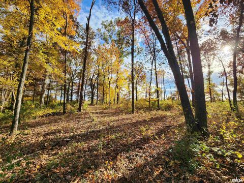 Tiny photo for 253 Ween Road, Desoto, IL 62924 (MLS # EB460556)