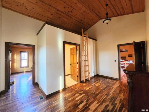 Tiny photo for 253 Ween Road, Desoto, IL 62924 (MLS # EB460556)