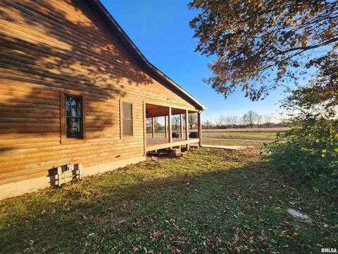 Tiny photo for 253 Ween Road, Desoto, IL 62924 (MLS # EB460556)