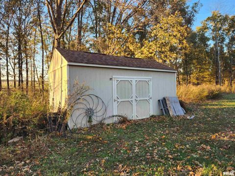 Tiny photo for 253 Ween Road, Desoto, IL 62924 (MLS # EB460556)