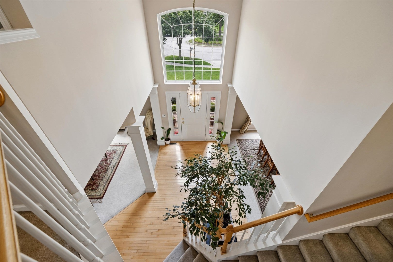 8 Orchid Court