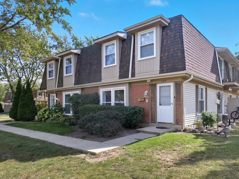 Tiny photo for 2312 Hyde Court, Schaumburg, IL 60194 (MLS # 12629392)