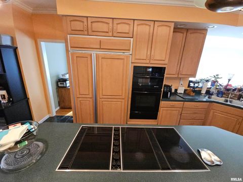 Tiny photo for 3525 OXFORD Avenue, Mt Vernon, IL 62864 (MLS # 12551916)