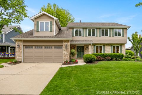 1223 Leverenz Road Naperville IL 60564