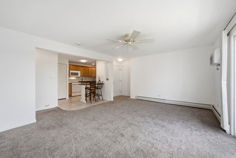 Tiny photo for 213 E Liberty Street #11, Wauconda, IL 60084 (MLS # 12667990)