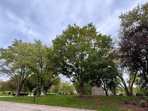 Tiny photo for 983 Bosworthfield Road, Barrington, IL 60010 (MLS # 12783399)
