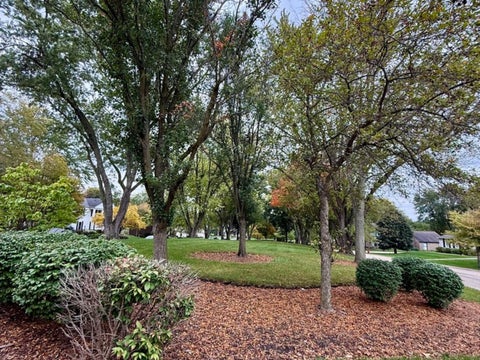 Tiny photo for 983 Bosworthfield Road, Barrington, IL 60010 (MLS # 12783399)