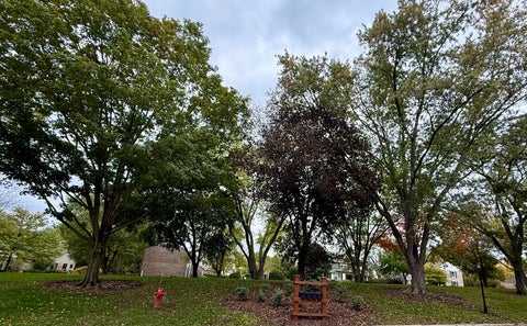 Tiny photo for 983 Bosworthfield Road, Barrington, IL 60010 (MLS # 12783399)