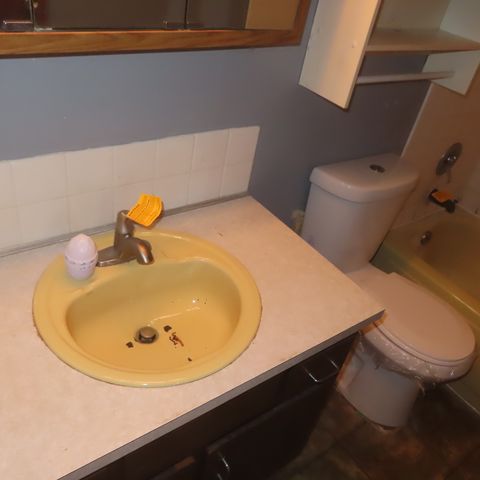 Tiny photo for 1305 Wakeby Lane #1305, Schaumburg, IL 60193 (MLS # 12533335)