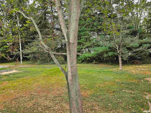 Tiny photo for 611 E Meridian Street, Marion, IL 62959 (MLS # QC4267564)