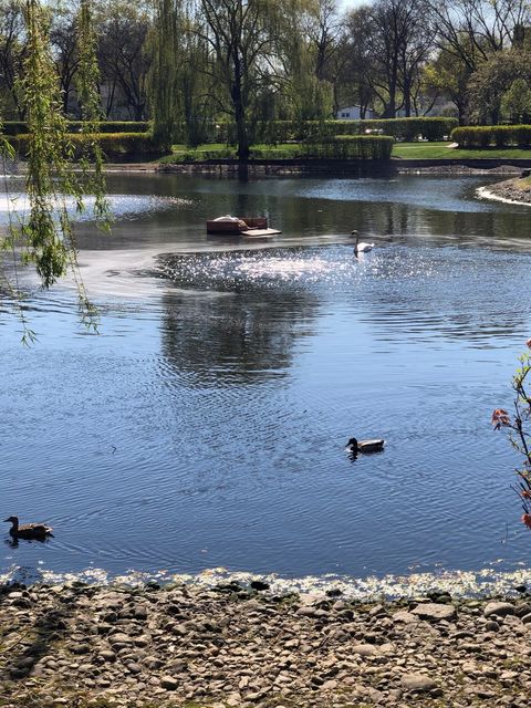 Tiny photo for 150 LAKE Boulevard #120, Buffalo Grove, IL 60089 (MLS # 12541954)