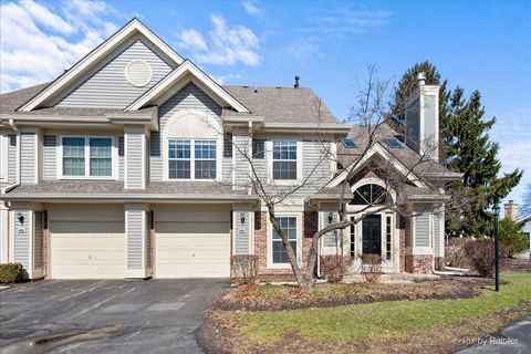 620 Stone Brook Court Elk Grove Village IL 60007