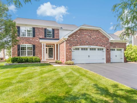 719 Eagle Brook Lane Naperville IL 60565