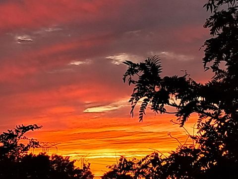 Tiny photo for 9701 N Dee Road #6M, Niles, IL 60714 (MLS # 12573251)