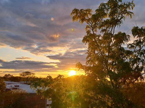 Tiny photo for 9701 N Dee Road #6M, Niles, IL 60714 (MLS # 12573251)