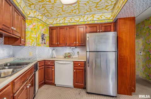 Tiny photo for 102 Lost Hollow Dr Drive, Salem, IL 62881 (MLS # EB459000)