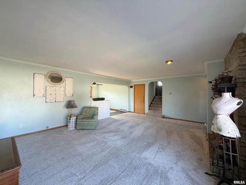 Tiny photo for 210 HILLTOP Court, Milan, IL 61264 (MLS # QC4269198)