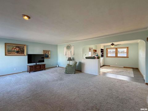 Tiny photo for 210 HILLTOP Court, Milan, IL 61264 (MLS # QC4269198)