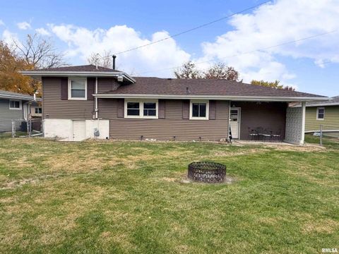 Tiny photo for 210 HILLTOP Court, Milan, IL 61264 (MLS # QC4269198)