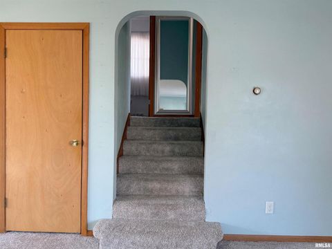 Tiny photo for 210 HILLTOP Court, Milan, IL 61264 (MLS # QC4269198)