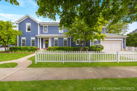 203 E Lincoln Avenue Wheaton IL 60187