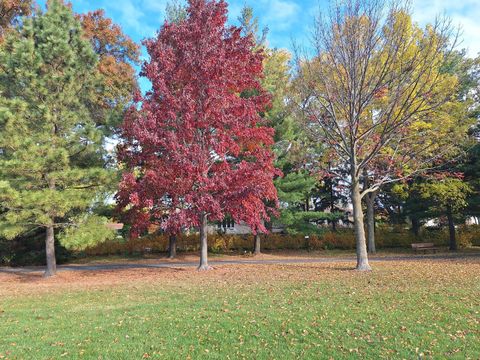 Tiny photo for 209 Herbert Street, Downers Grove, IL 60515 (MLS # 12544637)