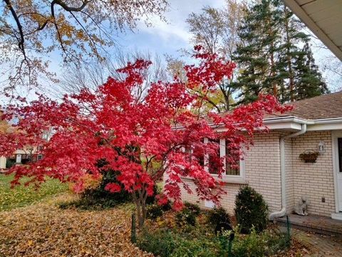 Tiny photo for 209 Herbert Street, Downers Grove, IL 60515 (MLS # 12544637)