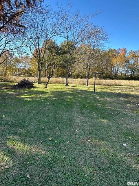 Tiny photo for 306 S PECAN Street, Royalton, IL 62983 (MLS # EB460437)