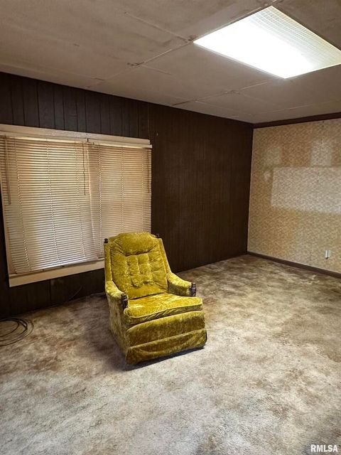 Tiny photo for 306 S PECAN Street, Royalton, IL 62983 (MLS # EB460437)