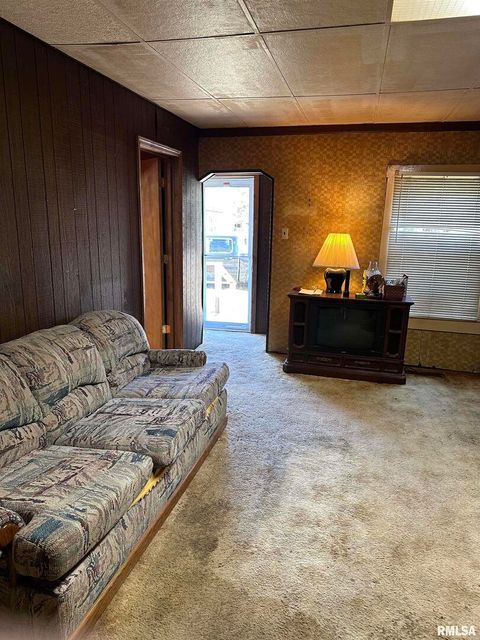 Tiny photo for 306 S PECAN Street, Royalton, IL 62983 (MLS # EB460437)