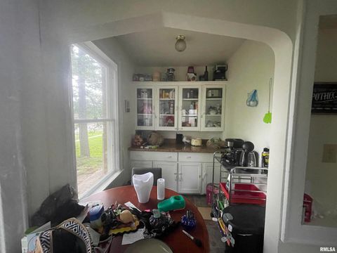 Tiny photo for 906 S ELIZABETH Street, Carbondale, IL 62901 (MLS # EB458640)