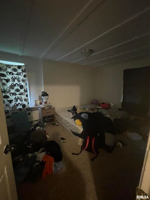 Tiny photo for 906 S ELIZABETH Street, Carbondale, IL 62901 (MLS # EB458640)