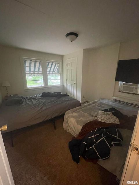 Tiny photo for 906 S ELIZABETH Street, Carbondale, IL 62901 (MLS # EB458640)