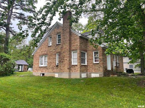 Tiny photo for 906 S ELIZABETH Street, Carbondale, IL 62901 (MLS # EB458640)