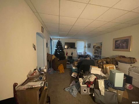 Tiny photo for 906 S ELIZABETH Street, Carbondale, IL 62901 (MLS # EB458640)