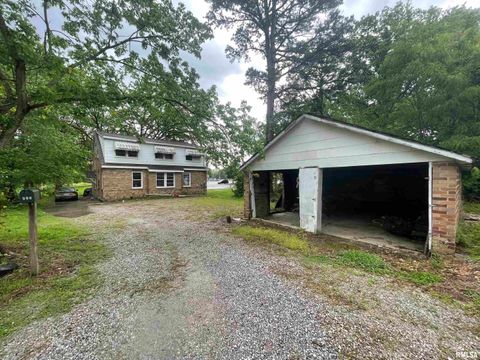 Tiny photo for 906 S ELIZABETH Street, Carbondale, IL 62901 (MLS # EB458640)