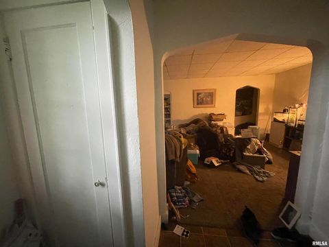 Tiny photo for 906 S ELIZABETH Street, Carbondale, IL 62901 (MLS # EB458640)