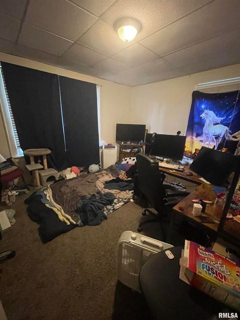 Tiny photo for 906 S ELIZABETH Street, Carbondale, IL 62901 (MLS # EB458640)