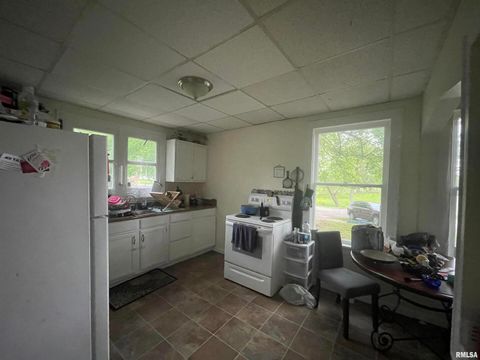 Tiny photo for 906 S ELIZABETH Street, Carbondale, IL 62901 (MLS # EB458640)