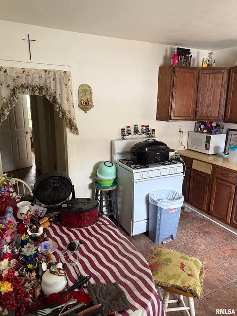 Tiny photo for 906 S ELIZABETH Street, Carbondale, IL 62901 (MLS # EB458640)