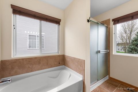 Tiny photo for 987 Valley Stream Drive, Pingree Grove, IL 60140 (MLS # 12627740)
