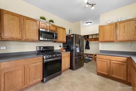 Tiny photo for 987 Valley Stream Drive, Pingree Grove, IL 60140 (MLS # 12627740)